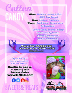 2020 Cotton Candy Themed Camp
