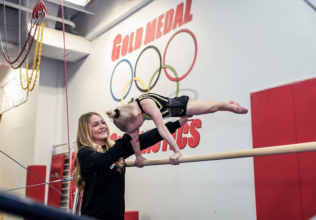 essential level 1 gymnastics skills