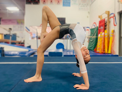 Choosing a Competitive Gymnastics Program